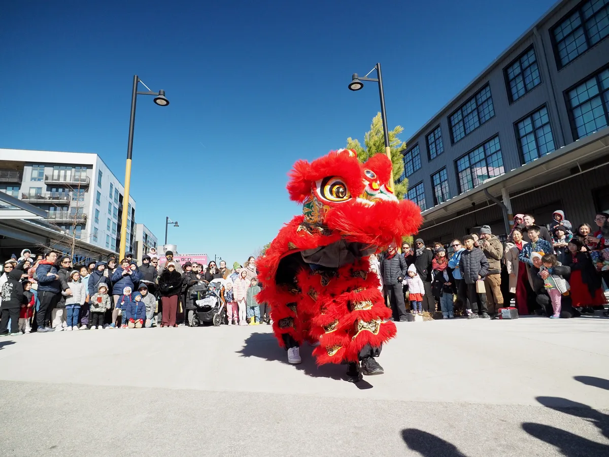 Lunar New Year photograph 14